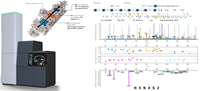 Annotated timsOmni™ glycopeptide eXd spectrum from GlycoScape™ highlighting both glycan fragment ions as well as peptide fragment ions