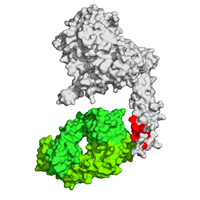 Bruker and Affipro Analytics integrate HDX-MS workflows for structural proteomics
