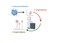 Discovery-to-Validation target workflow