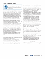 - Audit Committee Report